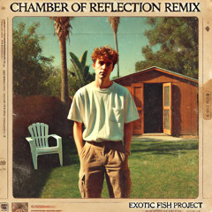 Chamber of Reflection - Mac Demarco (Exotic Flip)