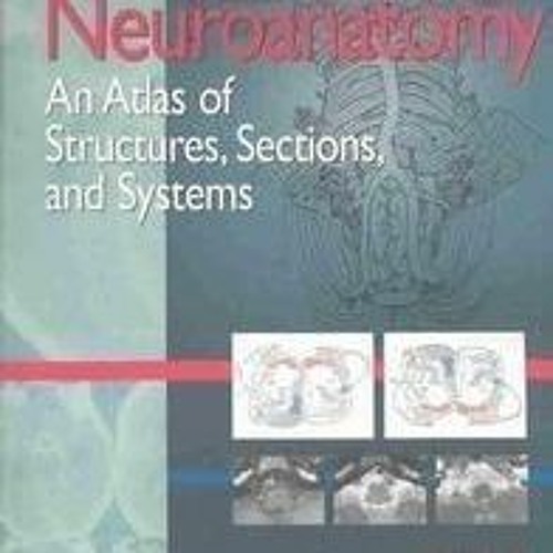READ EBOOK Neuroanatomy An Atlas of Structures, Sections, and Systems 6th Editio