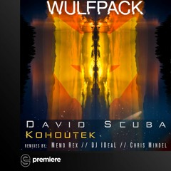 Premiere: David Scuba - Kohoutek  - Wulfpack