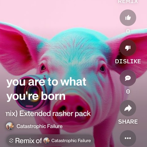 pig-fucker-(bacon-mix)-extended-rasher-pack.mp3