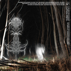 Premiere: Darkness in Eldorado - No Rest For The Wicked (Haze-C Remix) [BR04]