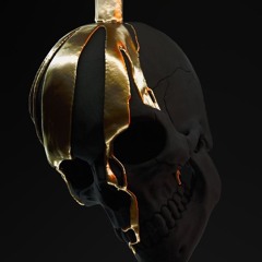 The Prodigy Tribute Project