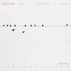 Le petit oiseau / Little Bird