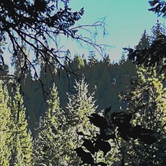 Dreams Go Deeper (prod Moonveil)