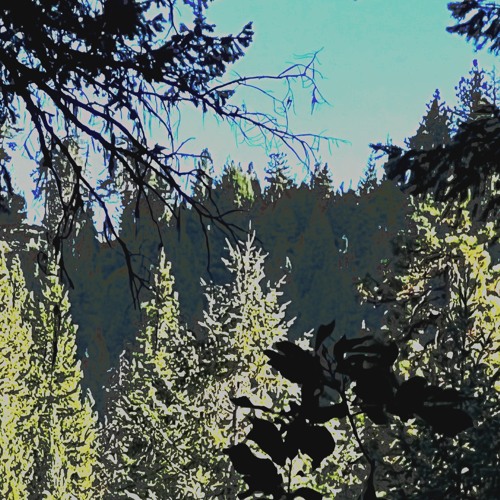 Dreams Go Deeper (prod Moonveil)