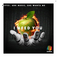 FLYTZ!, Adk Music, She Wants Me - I Need You (Extended Mix)