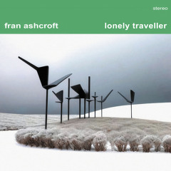 Lonely Traveller