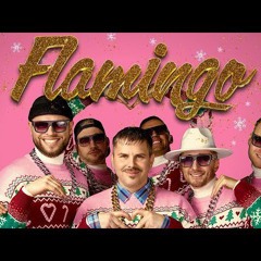 BERMUDU DIVSTŪRIS feat DJ Guano - FLAMINGO
