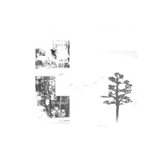 L ø k ø - On My Way