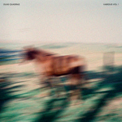 PREMIERE : Future Island - A Marvellous Entanglement (Duas Quadras)