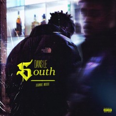 DANS LE $OUTH SPECIAL BIT$U