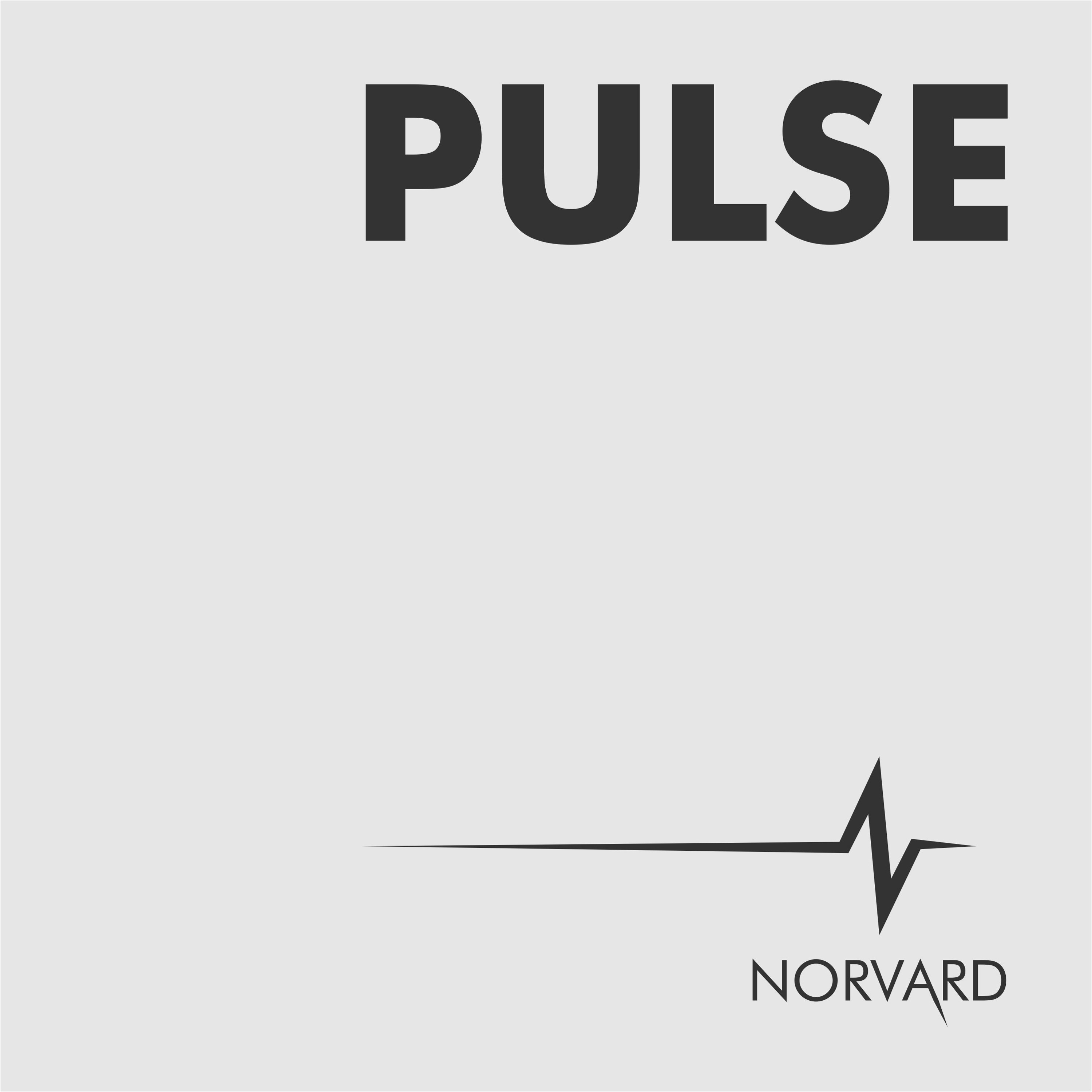 PULSE by Norvard # 8 - The Loen / Hoven Session episode artwork
