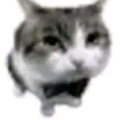 🎵