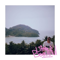 Life's Beautiful (Radio Edit)