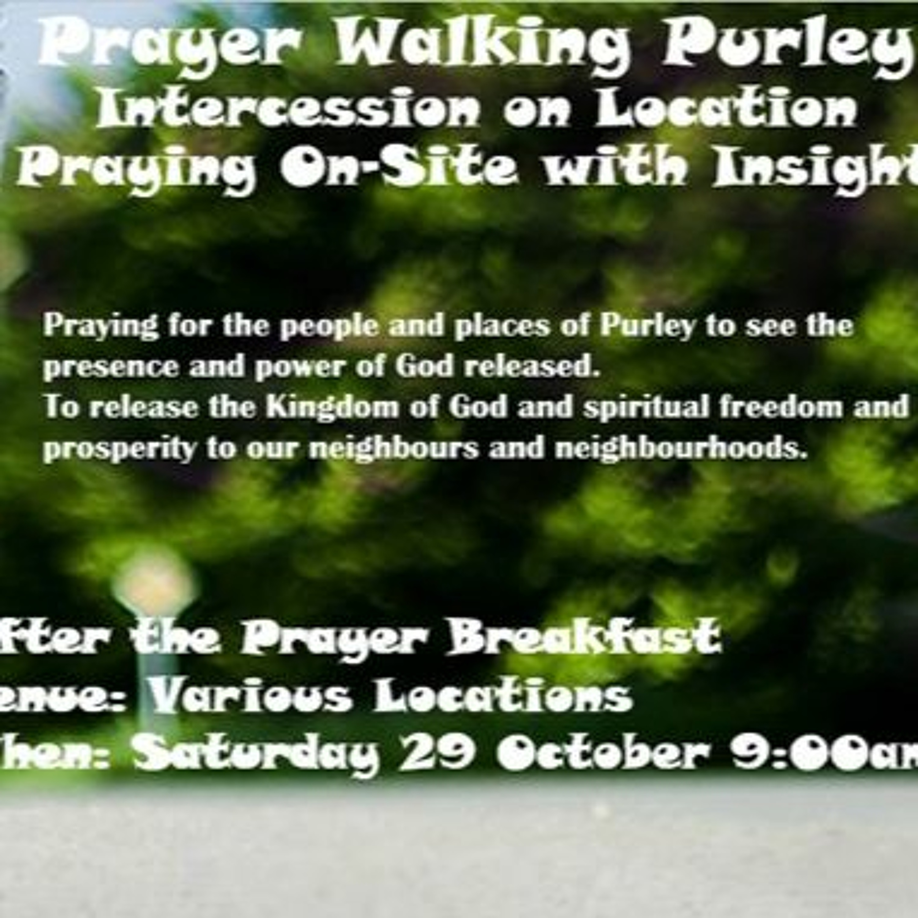 Grace Vineyard Purley