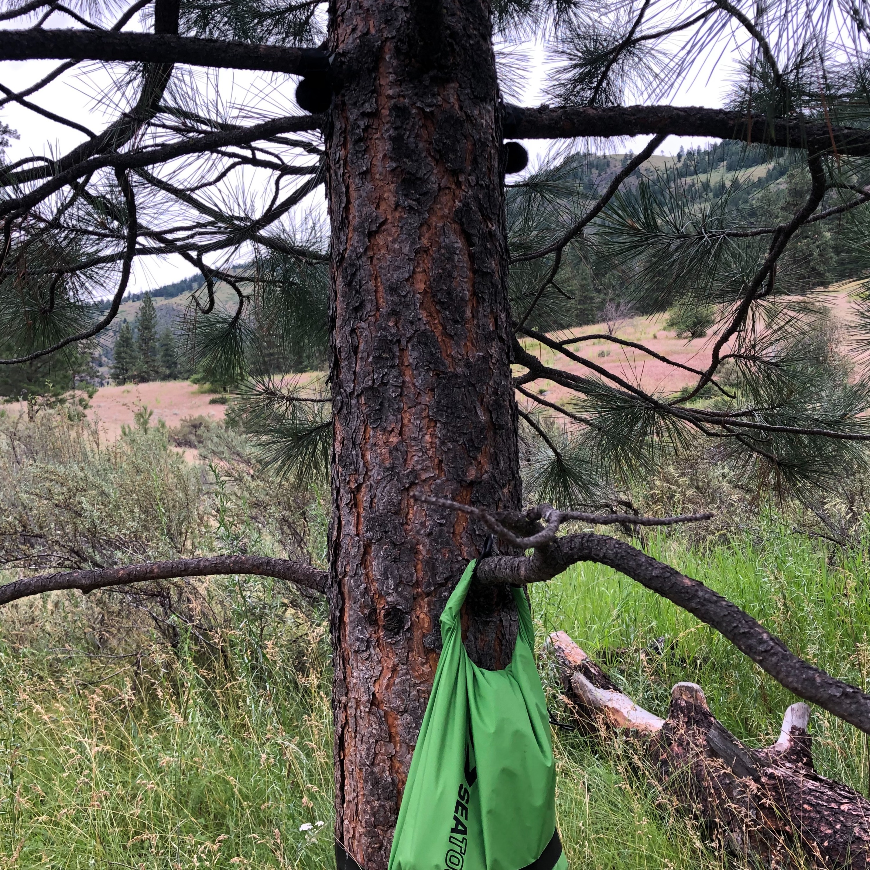 Northwest Soundscapes