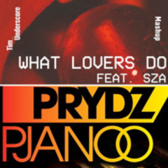 What Lovers Do x Pjanoo (Tim Underscore Mashup) (Preview)