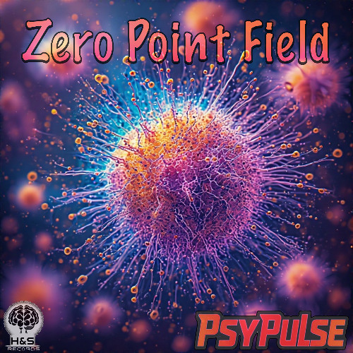 Zero Point Field