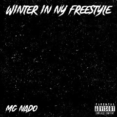 Winter in NY Freestyle (Prod. Cloud04)