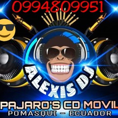 BOMBAS Y CAYAMBEÑAS COPLAS DJ ALEXIS