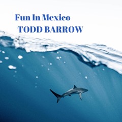 Todd Barrow-Fun In Mexico