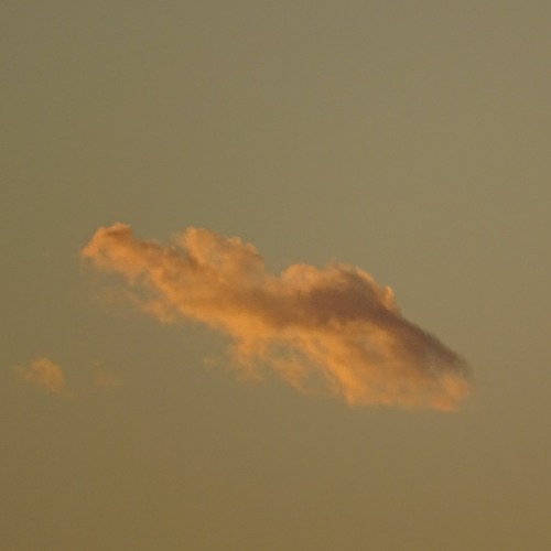 Mean Flow & Marco Lucchi - Mellotron-ing all day long