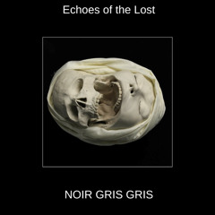 Echoes of the lost