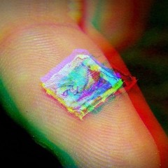 Acid et Malice