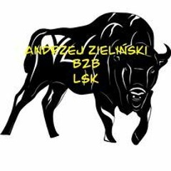 Walhalla - Electronics Vikings LSK b2b Andrzej Zieliński