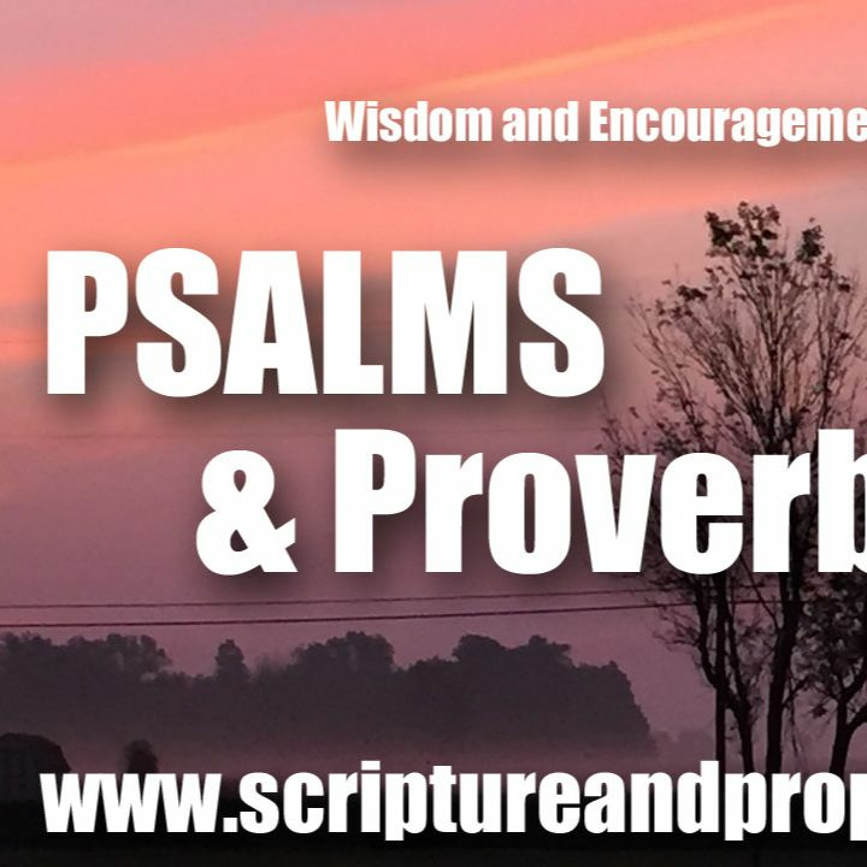 Scripture & Prophecy - Weekly Bible Studies