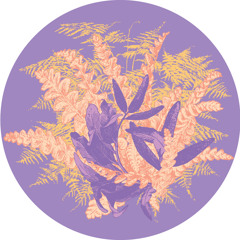 Premiere: Ruhig - A Perfect Vacuum