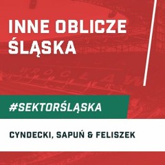 Inne oblicze Śląska (podcast Sektor Śląska odc. 109)