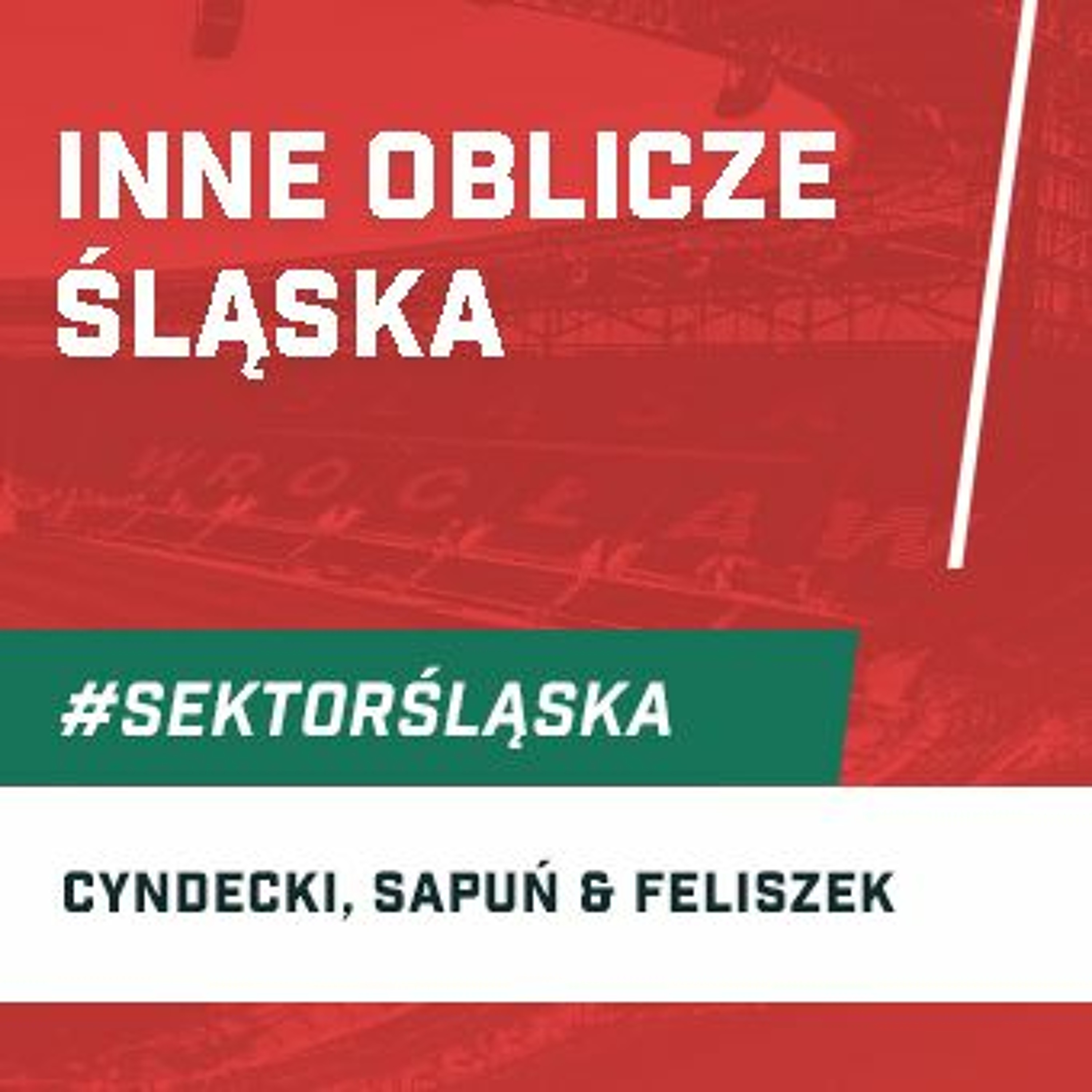 Śląsknet