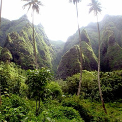 tu pediu e tomou ( mc pogba & mc th)