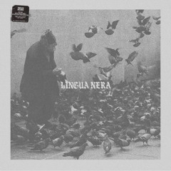 Lingua Nera - I Don't Want A New Guitar [Timeless]