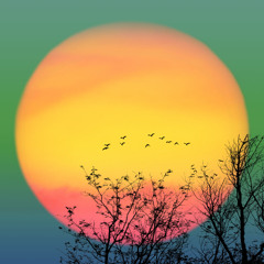 Davaite Delat Pauzy V Slovah (Let's Pause Words)