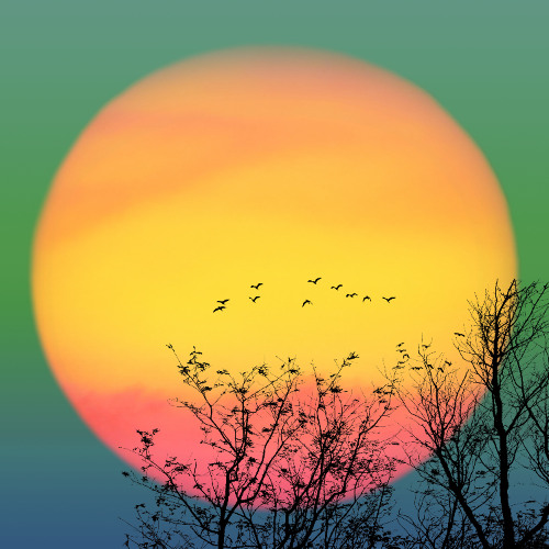 Davaite Delat Pauzy V Slovah (Let's Pause Words)