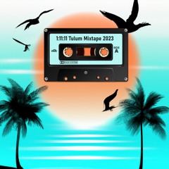 1:11:11 Tulum Mixtape 2023 Organic Downtempo