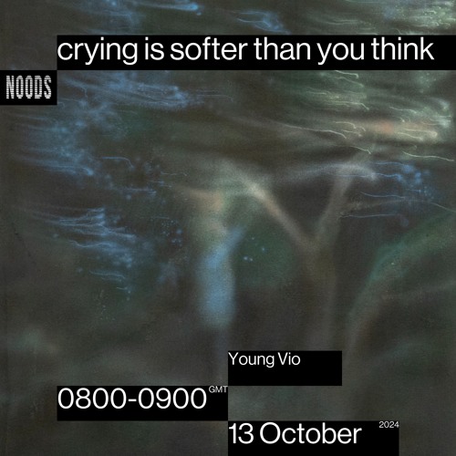 Noods Radio #19 - crying is softer than you think - Young Vio (13/10/2024)
