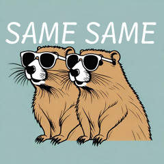 SAME SAME Final Cut