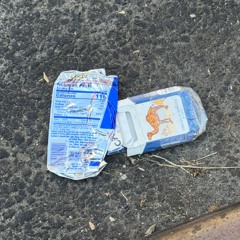 ways of the world ( ft. B Caro )