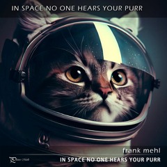 In Space No One Hears Your Purr (feat. DISCO CAT)