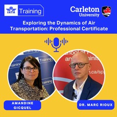 Exploring the Dynamics of Air Transportation: Professional Certificate