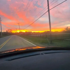 nightcrawler (p. DRMA + LVNAR01)