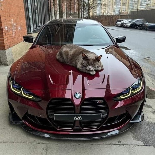 MONTAGEM CHERNOBYL DISASTRE (Slowed)