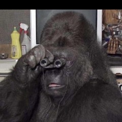 alaghieri - Amex cards (prod. 2thouxan)