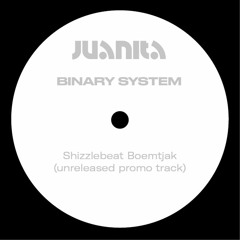 Shizzlebeat Boemtjak (unreleased promo track)