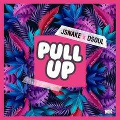 JSnake x Dsoul - Pull Up