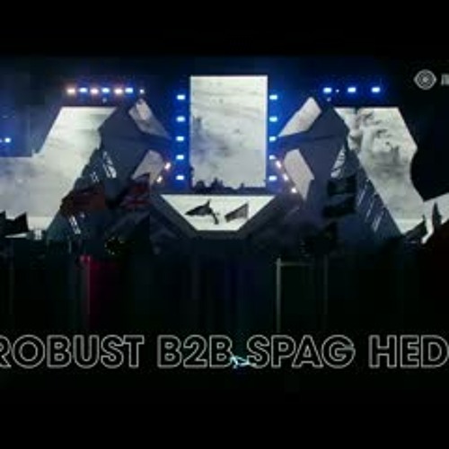 HEROBUST b2b SPAGHEDDY EDC 21