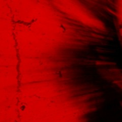 Media Composing Reel